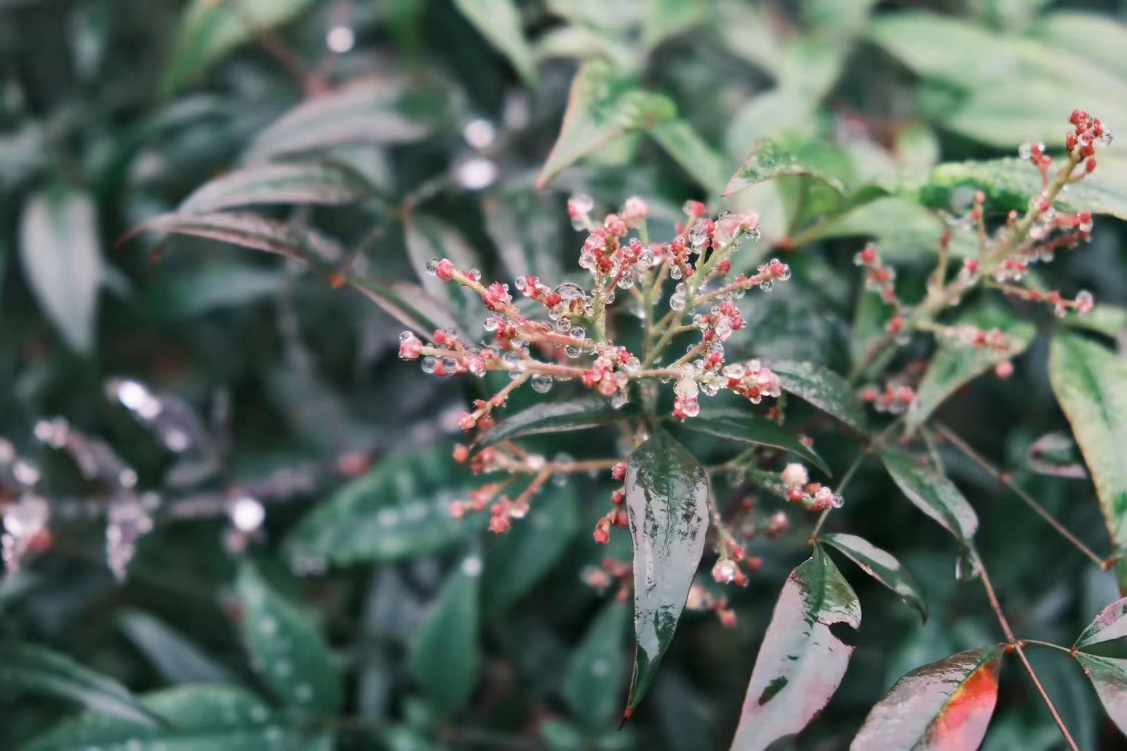如何选择合适的登山鞋？(图1)