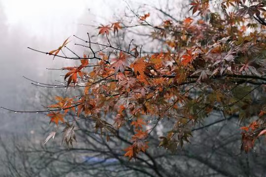 如何选择合适的登山鞋？(图2)