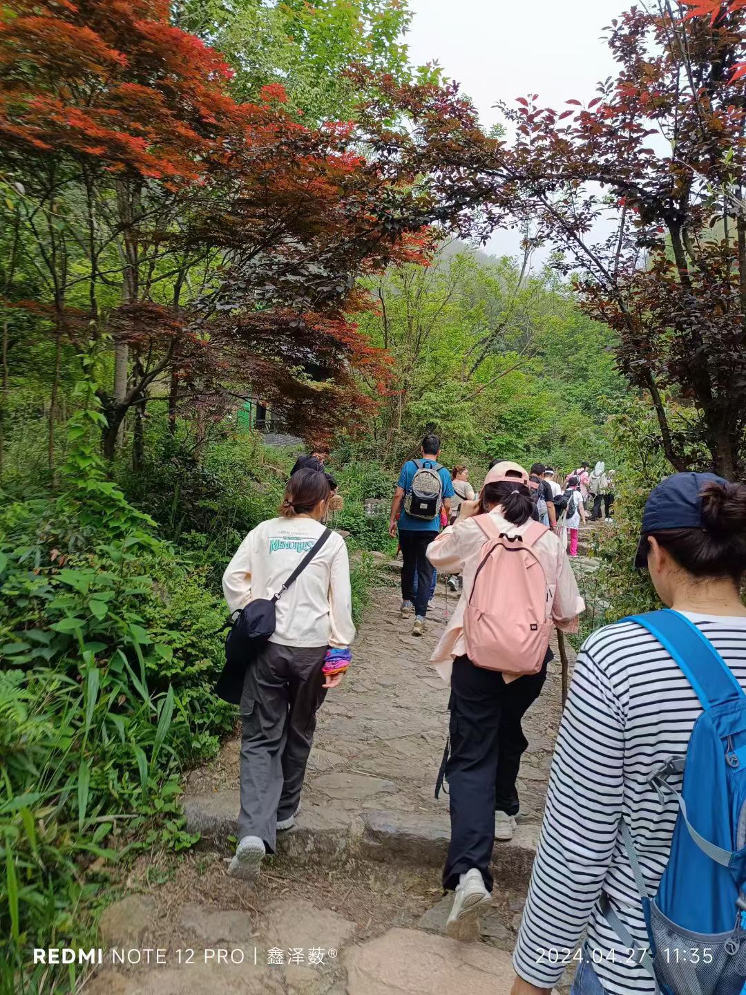 请问有什么常见的运动伤害需要注意吗？(图2)