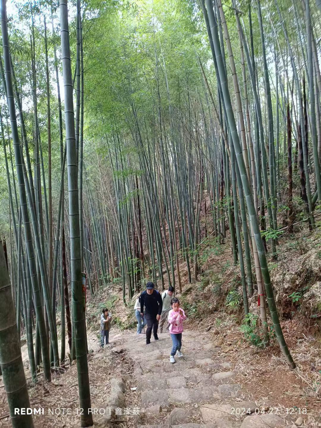 请问有什么常见的运动伤害需要注意吗？(图3)