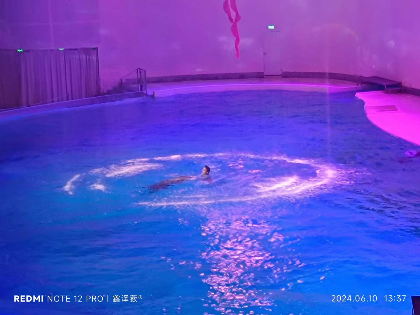 上海海昌海洋公园(图2)