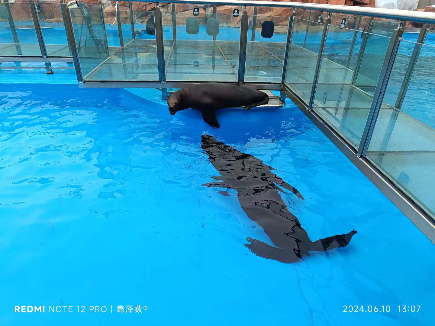 上海海昌海洋公园(图6)