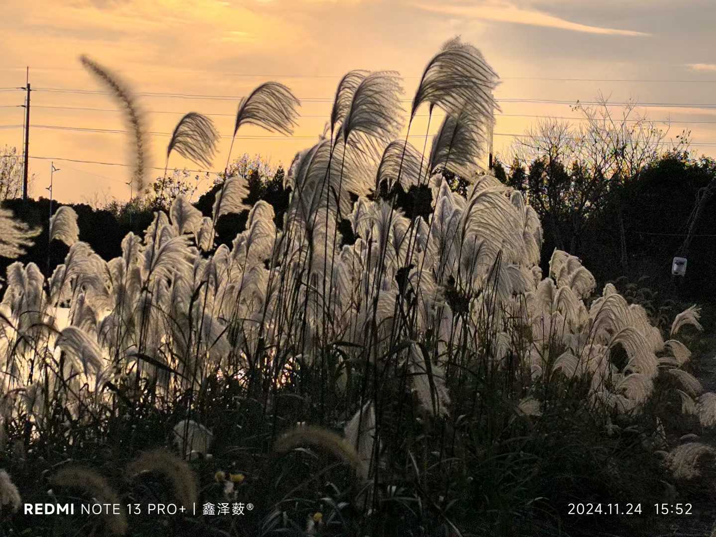 这个时刻是一天里最美好的